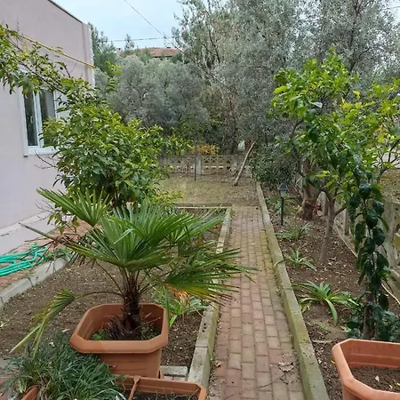 Koru Konaklama Villa Gemlik